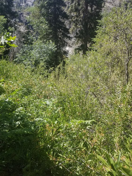 20190812_110155.jpg