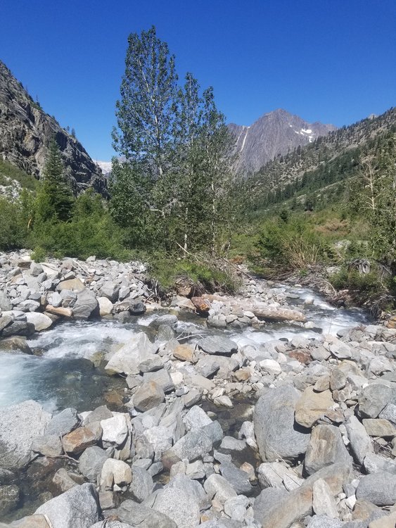 20190812_111438.jpg
