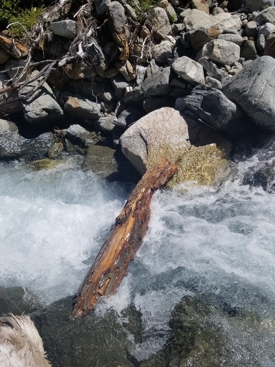 20190812_113526.jpg