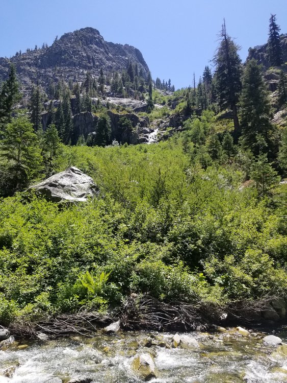 20190812_131942.jpg