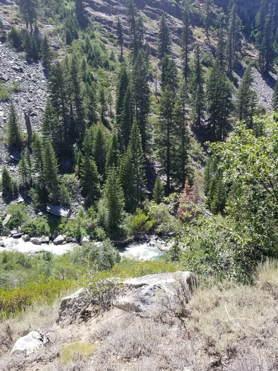 20190812_140128.jpg