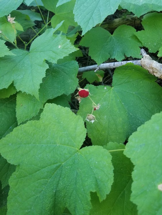 20190813_093405.jpg
