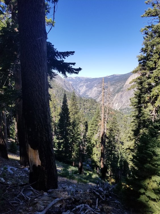 20190813_095128.jpg