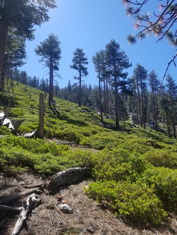 20190813_103513.jpg