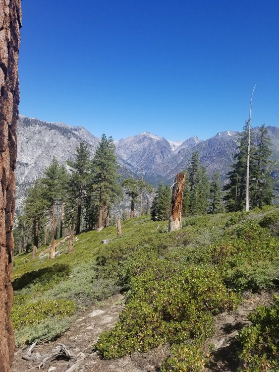 20190813_105348.jpg