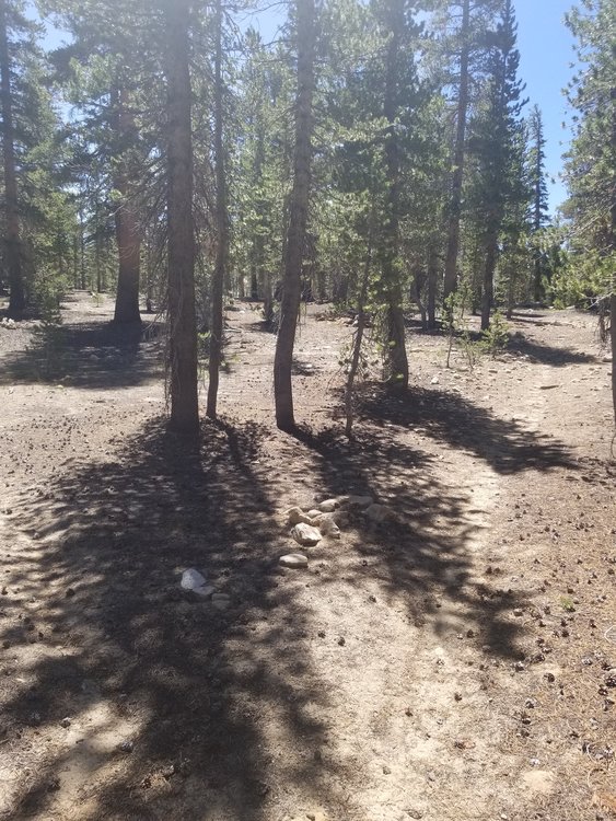 20190813_120830.jpg