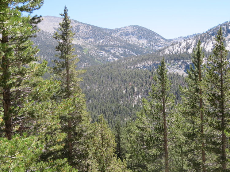 IMG_1914.JPG