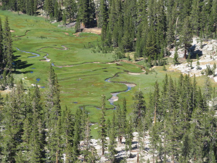 IMG_1938.JPG