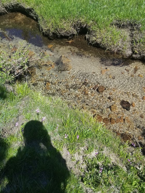 20190813_141406.jpg