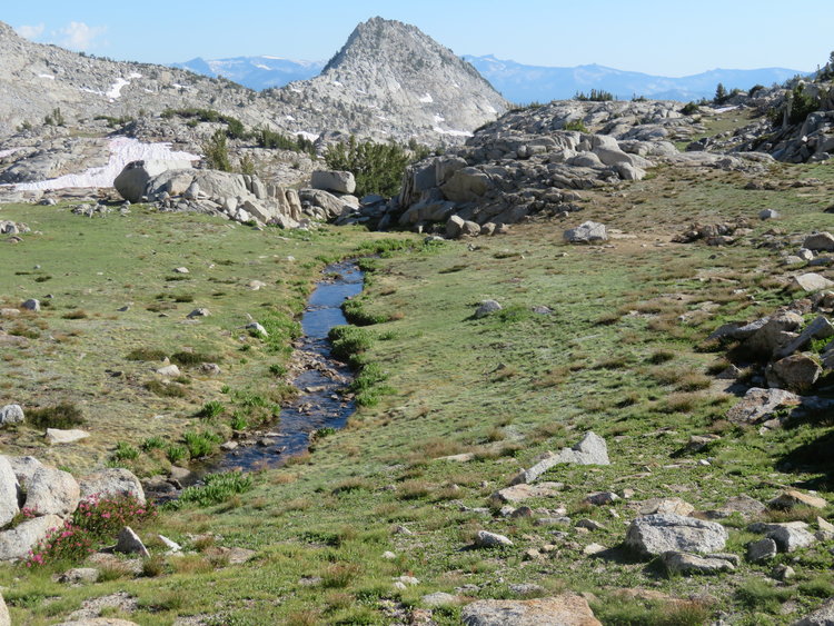IMG_2004.JPG