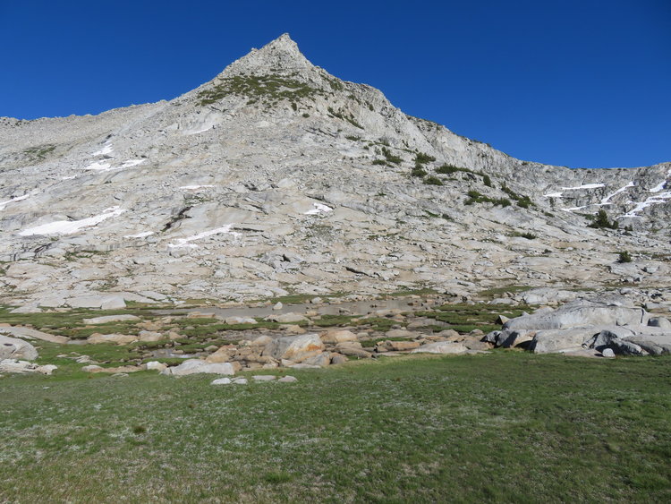 IMG_2009.JPG