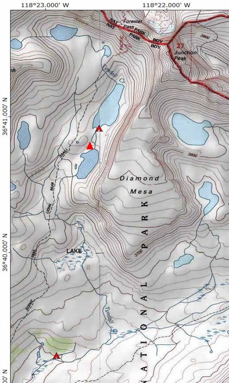 some campsites south of Forrester Pass