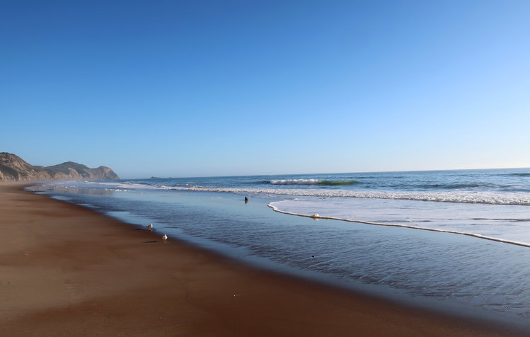 Wildcat beach