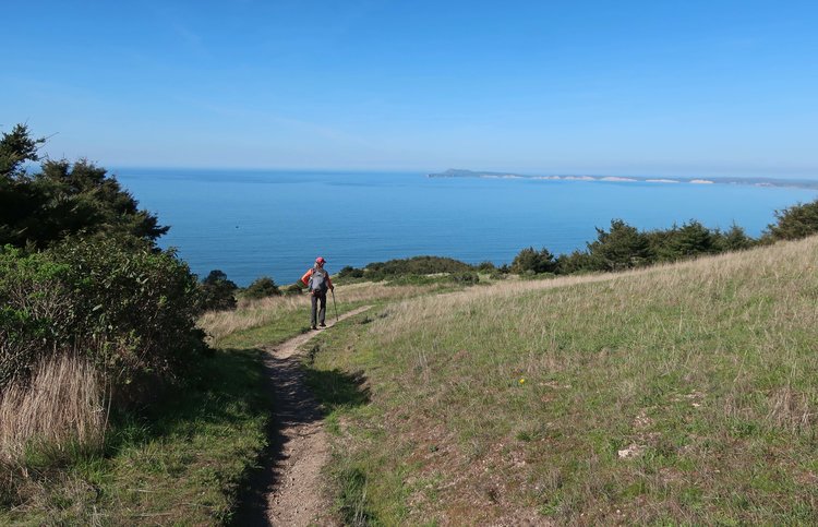 Coast Trail