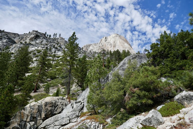 Charlotte Dome from well down Charlotte Creek