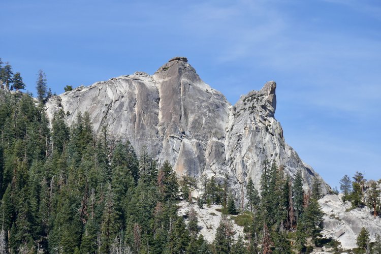 The Sphinx