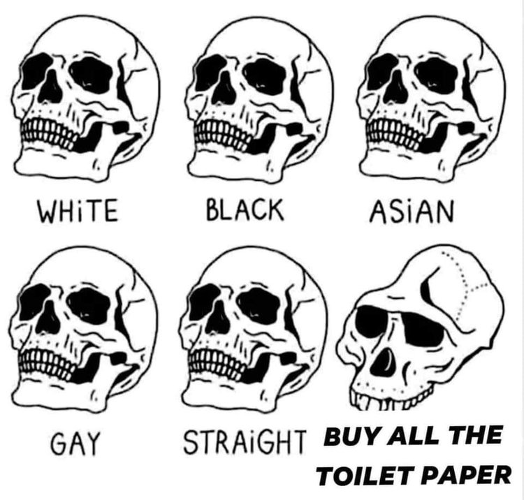 49653924737_d52003be28_o.jpg