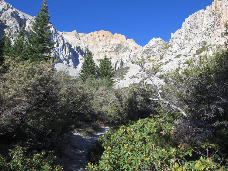 Lower Taboose Pass