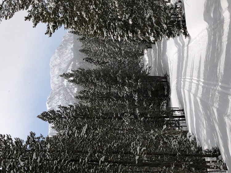 social distancing hike in Montana yesterday