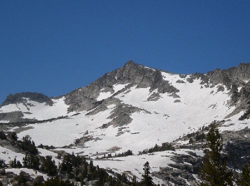 Volgelsang in July.