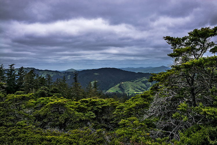 ViewNorth-2-1.jpg