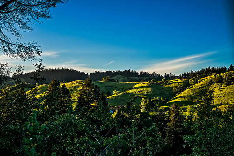 Hills-north-Sylvestris-1.jpg