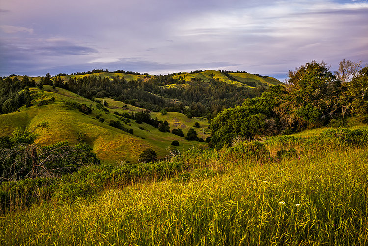Bushes-hills-clouds-east-1-1.jpg