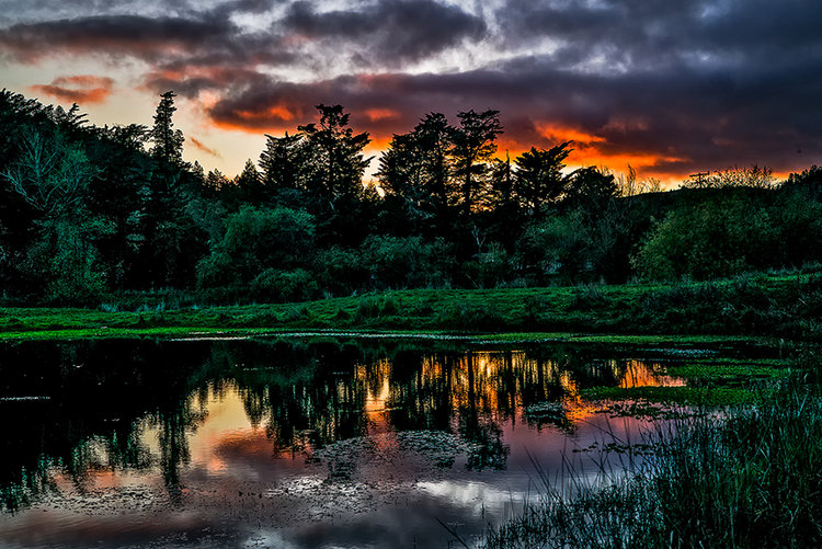 Pond-sunset-west-1-1.jpg
