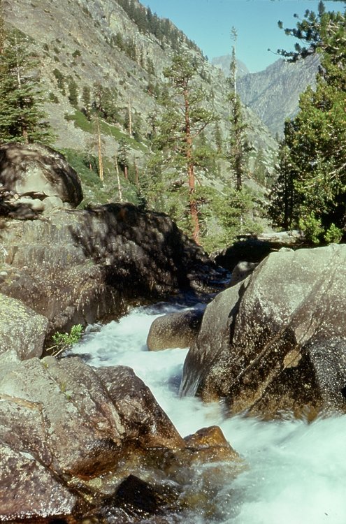1975.061.jpg