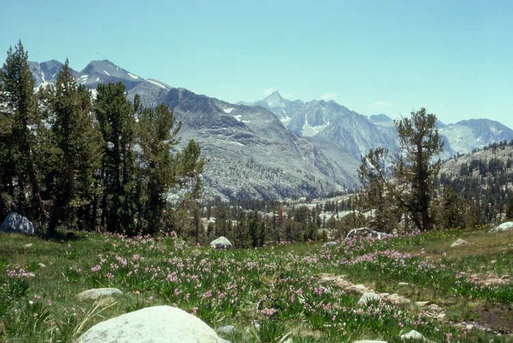 1975.068.jpg