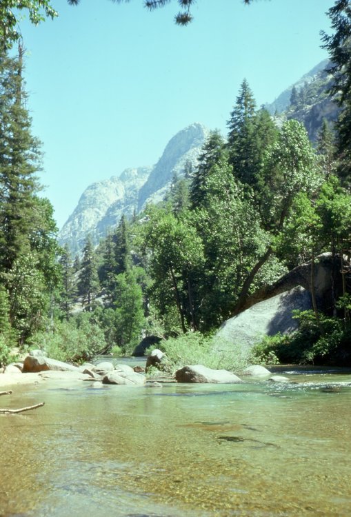 1975.071.jpg