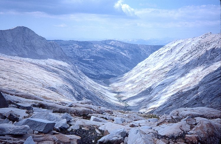 1981.019.jpg