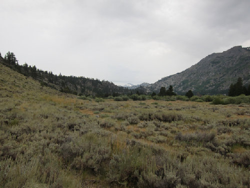 On the trail