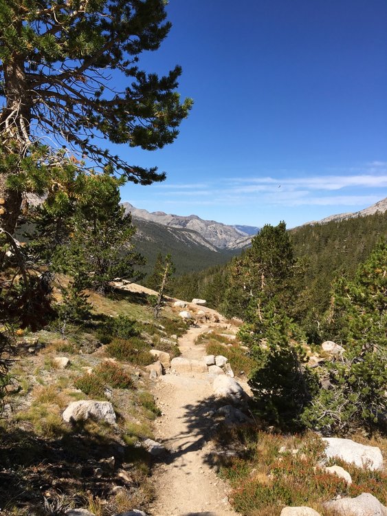 Evolution Valley