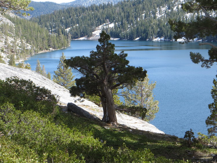 Lower Echo Lake