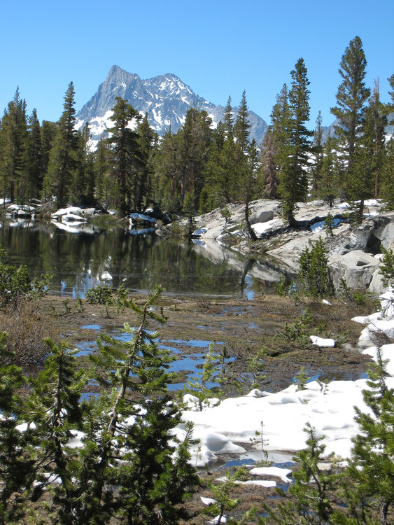 Swampy traverse to camp 2 below Lost Lakes