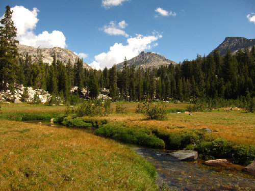 Creek and Meadow above Tilden