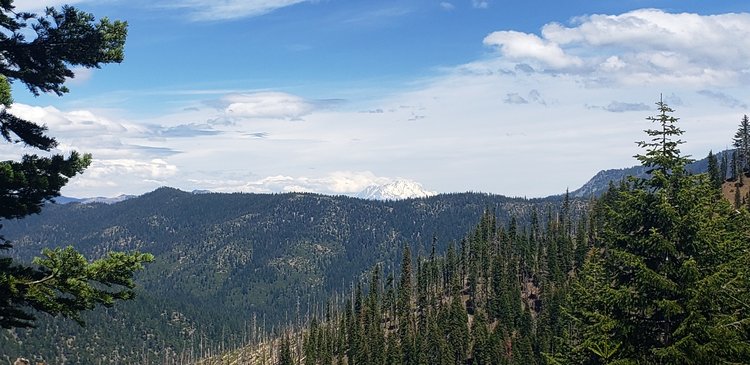 Big, Beautiful Mt Shasta in the distance
