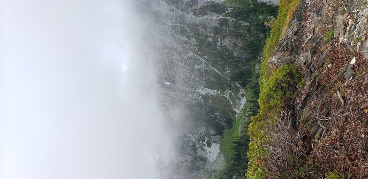First view of the Middle Fork of the South Fork of the Salmon River