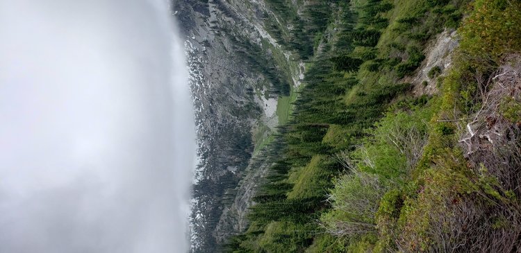 Another view of the MFSFSR headwaters