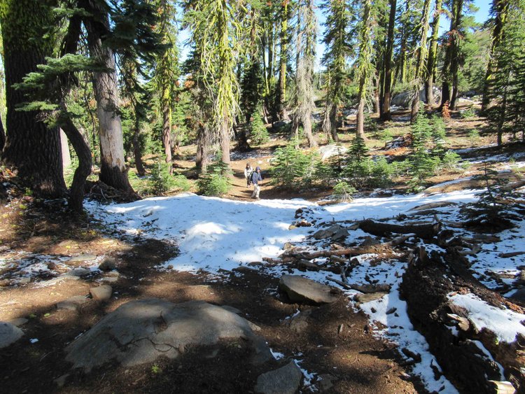 some new snow as well as older patches provided ammo for the first family snowball fights since 2018
