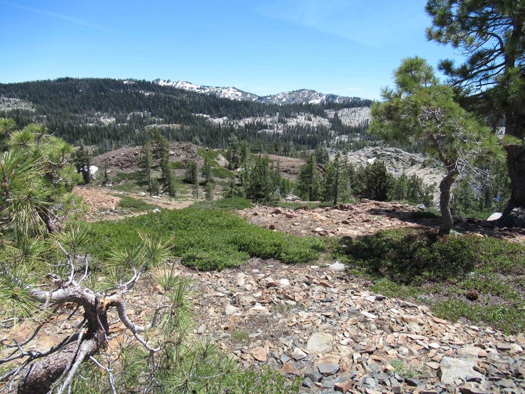 View eastward to Black Buttes a very nice area easily accessed from the Grouse Ridge trailheads.