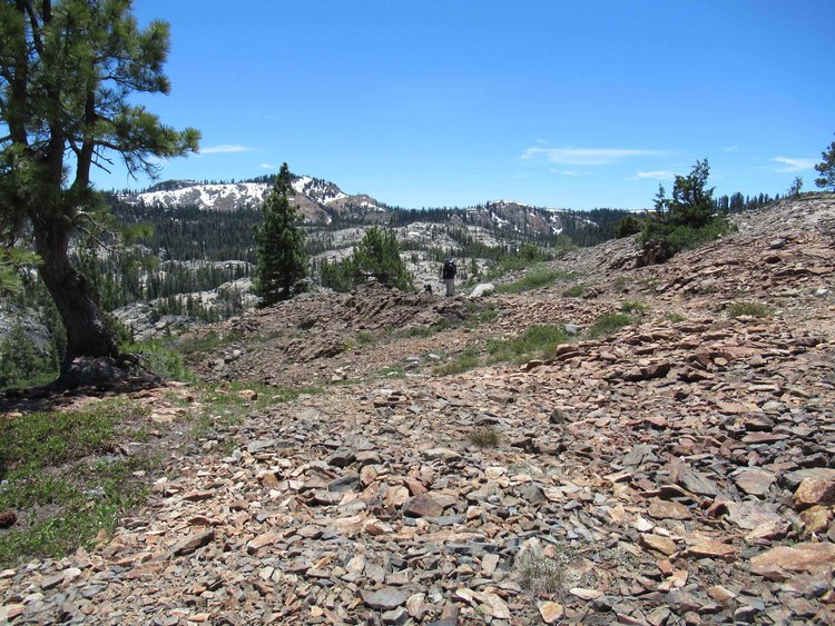 View toward the Grouse Ridge summit while hiking to Penner Lake.