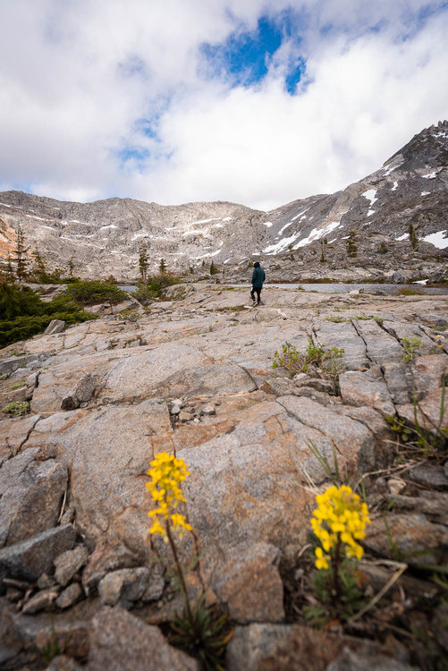 A few wildflowers in the basin