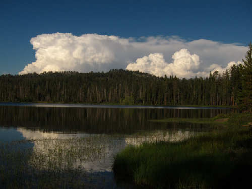 Thunderheads