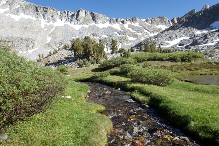 The meadows west and above Big McGee lake