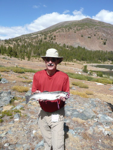 Don't know if it was 3 lbs but 19 3/4&quot;  and fed 3 generously.