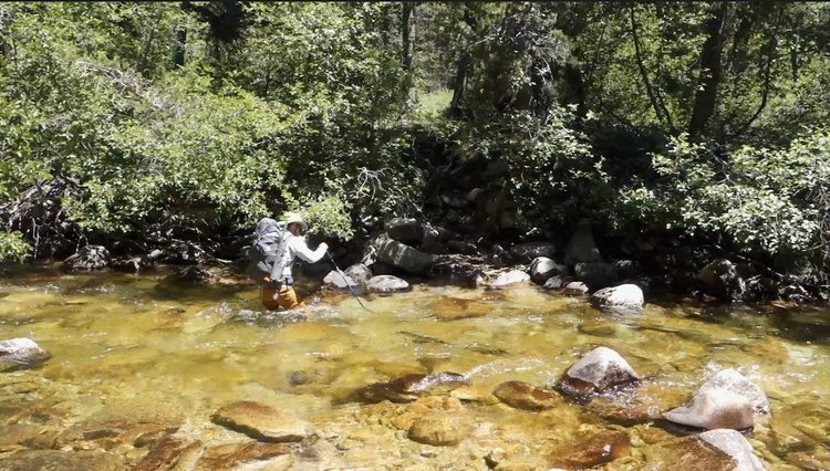 My friend fords Mono Creek