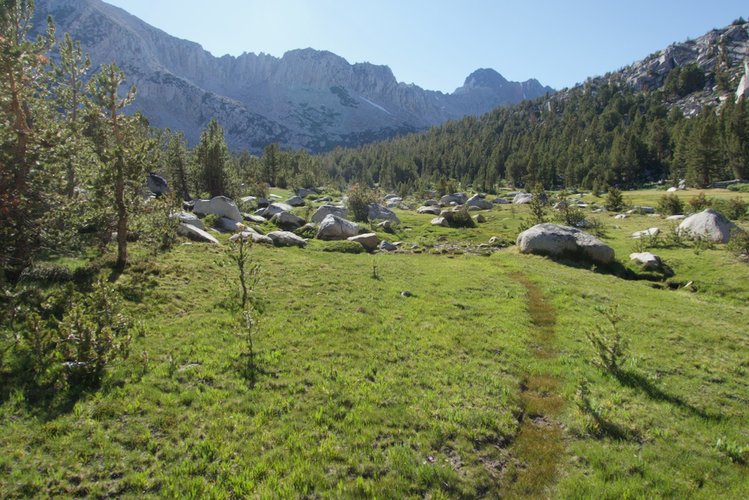 The use trail above 10,000' along Hopkins Creek.