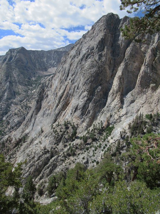 The Morgan Creek canyon is a narrow one with limestone cliffs.